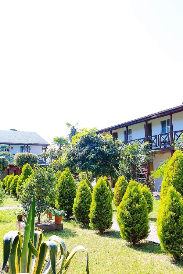 Guest House Alashara Pitsunda Exterior foto